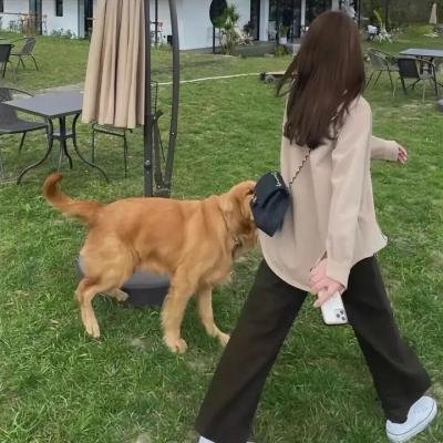 我是证人